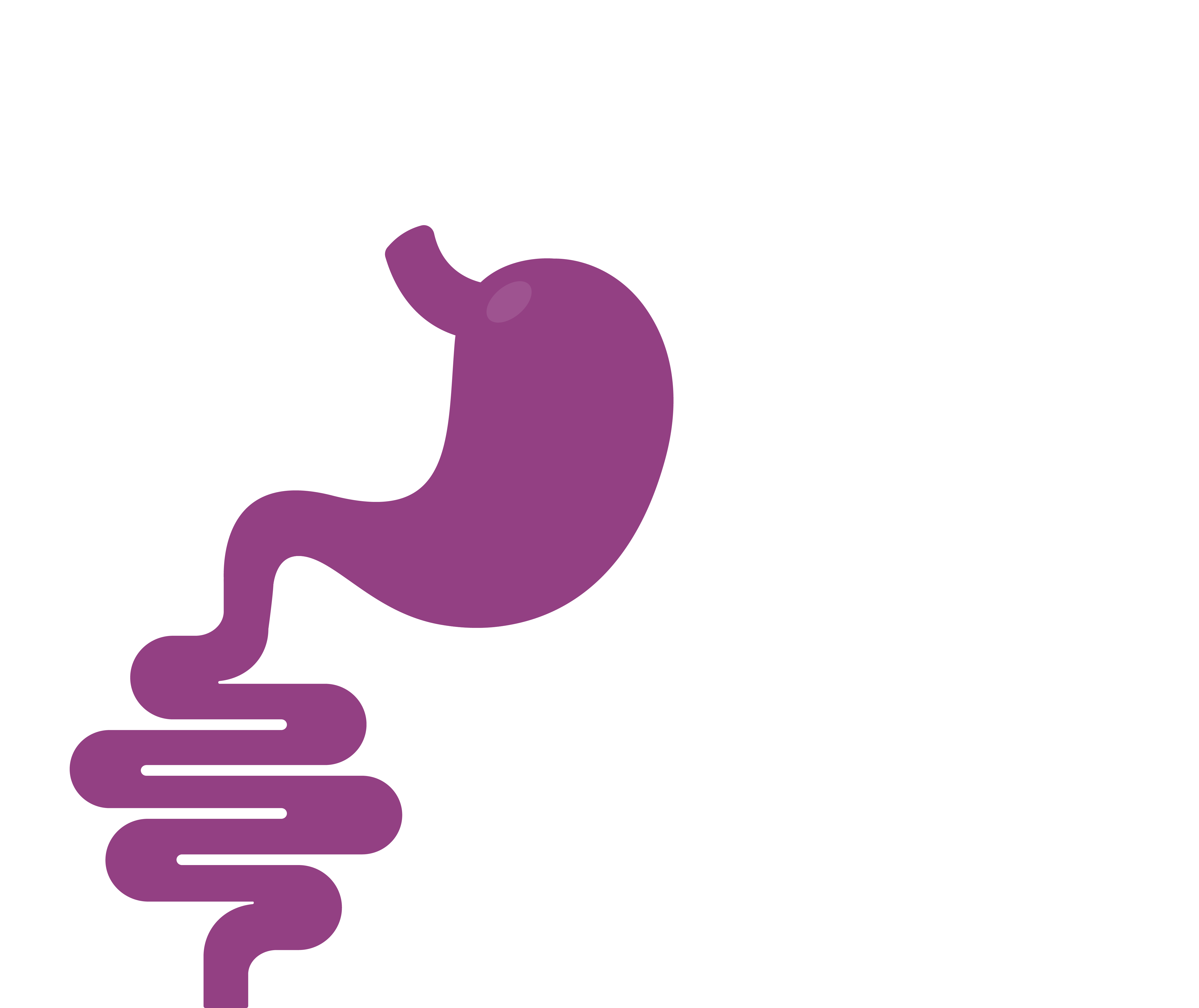 intestine icon