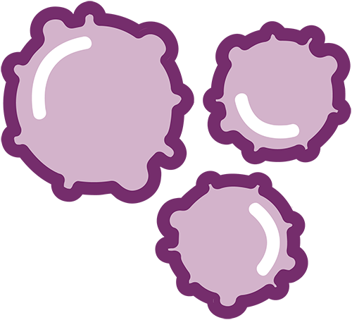 blood cells icon