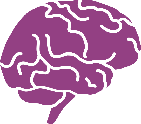 brain icon