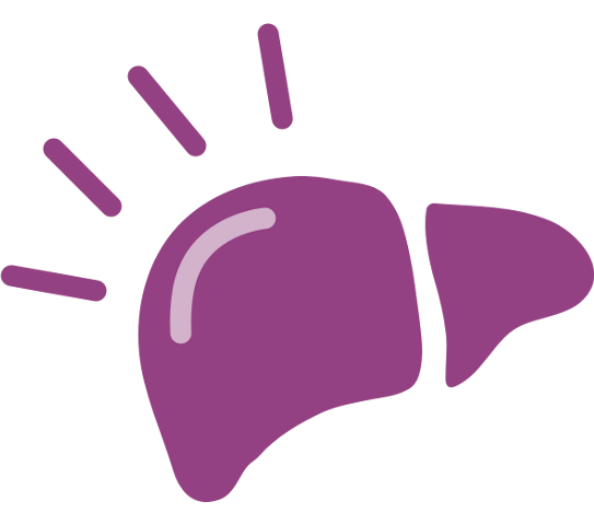 liver icon